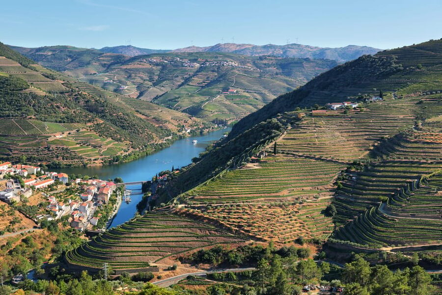 Porto: Douro Valley Wine Tour with a Sommelier & Boat Trip - A wine day that begins outside the Douro