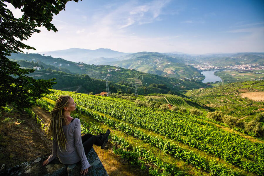 Porto: Douro Valley Wine Tour with a Sommelier & Boat Trip - A second winery and the Port cellar
