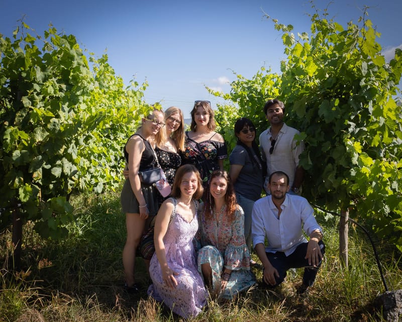 Porto: Douro Valley Wine Tour with a Sommelier & Boat Trip - Who should book this Douro Valley tour?