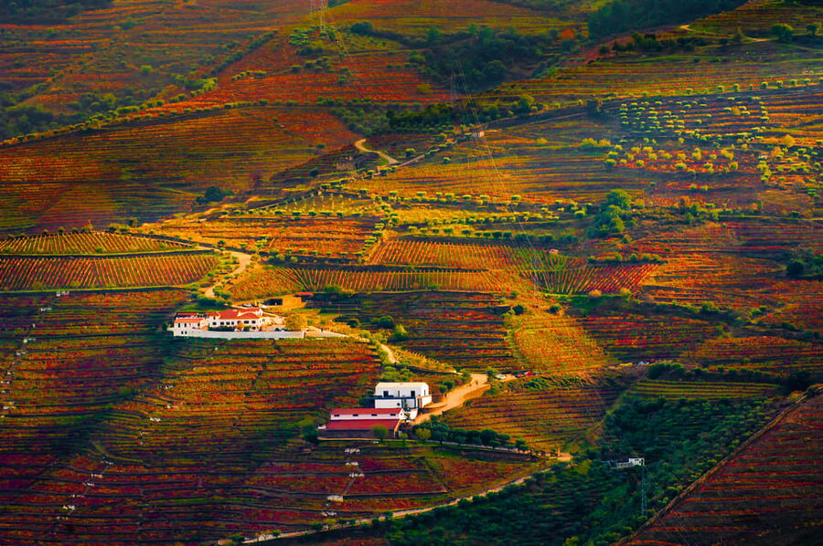 Porto: Douro Valley Wine Tour with a Sommelier & Boat Trip - Final call: book it for access, not just scenery