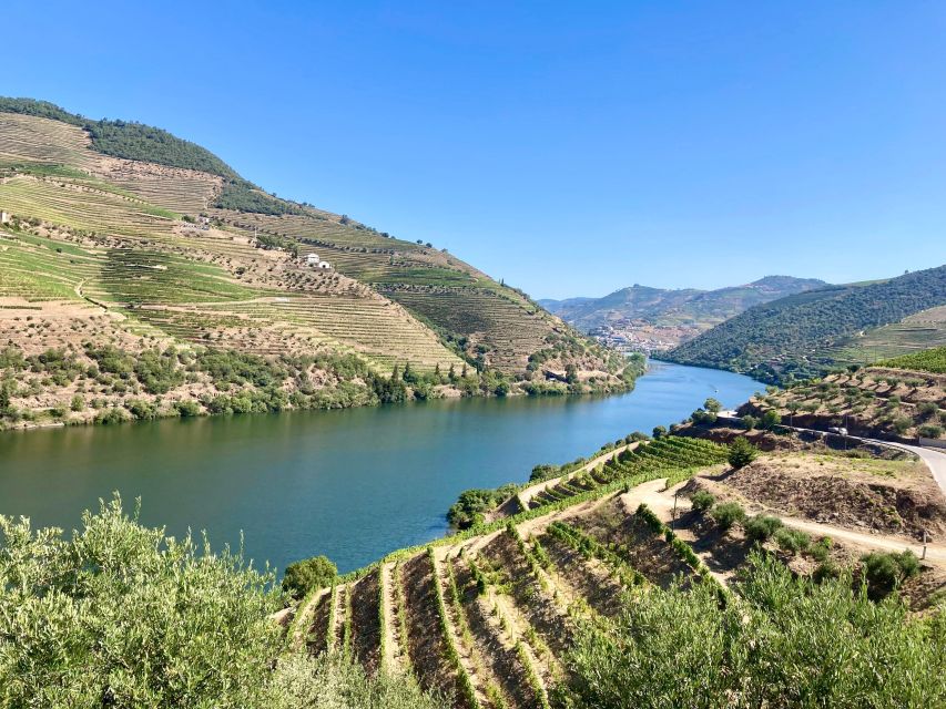Porto: Douro Valley Wine Tour with Tastings, Boat, and Lunch - The first winery: Port, vineyards, and production