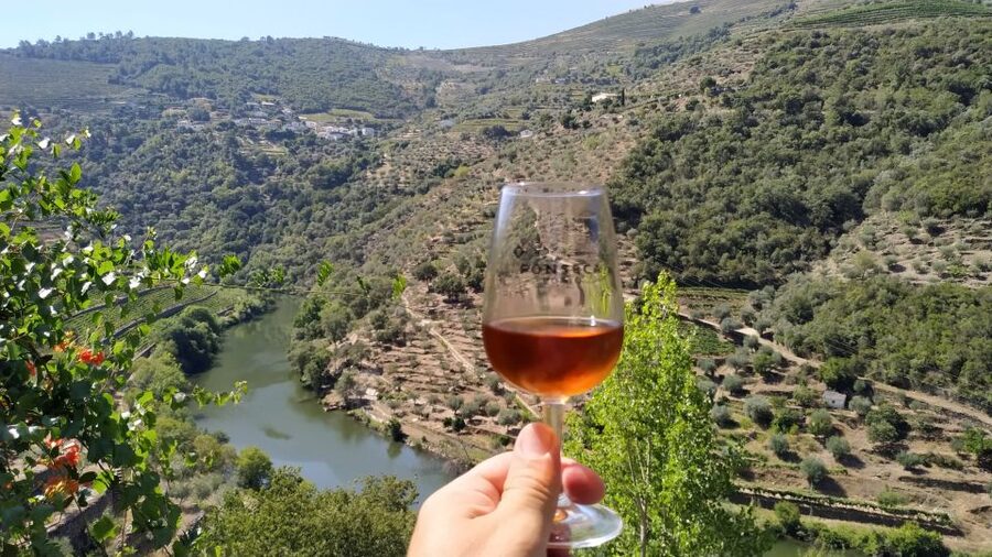 Porto: Douro Valley Wine Tour with Tastings, Boat, and Lunch - What the $153 price really covers