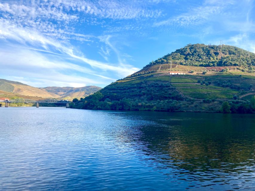 Porto: Douro Valley Wine Tour with Tastings, Boat, and Lunch - Who will enjoy this day most