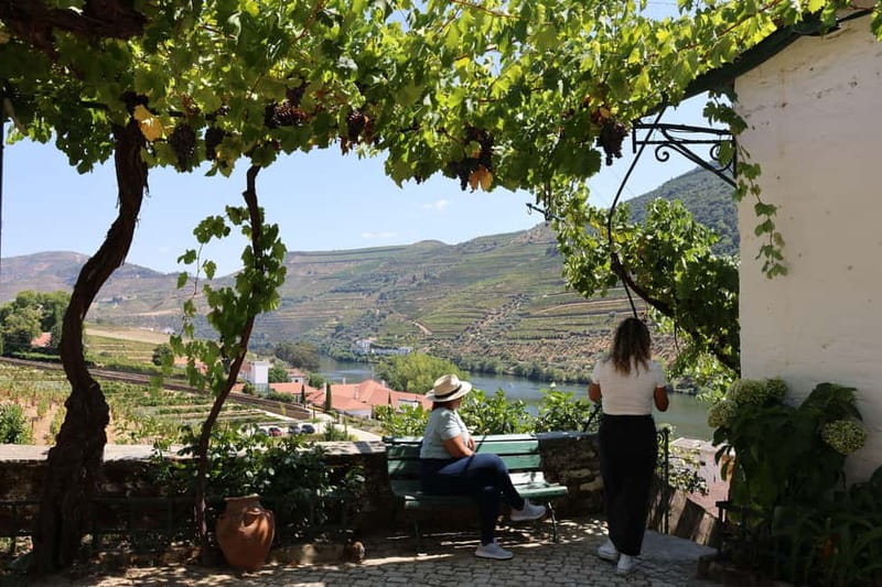 Porto: Douro Valley Wine Tour with Tastings, Lunch & Cruise - Small-group energy and guide quality