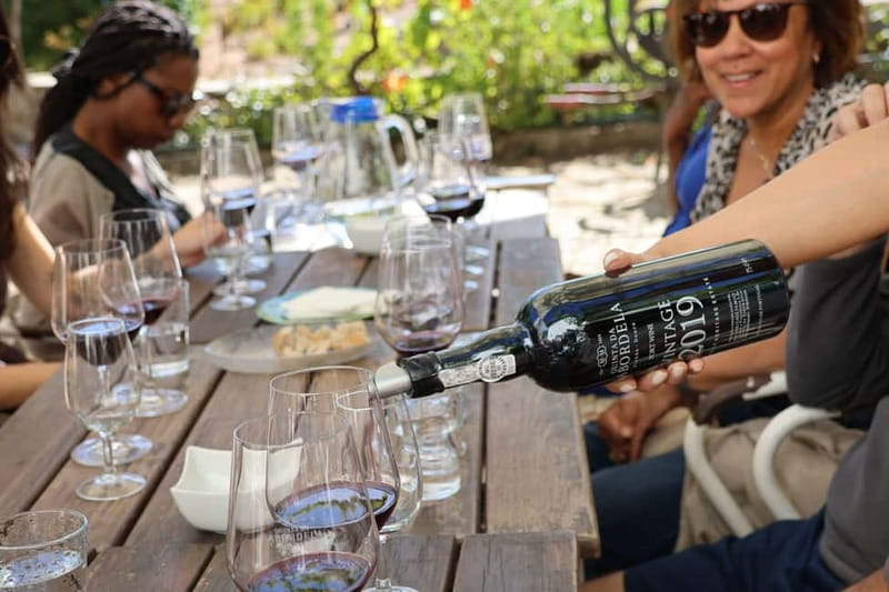 Porto: Douro Valley Wine Tour with Tastings, Lunch & Cruise - Pinhão and the one-hour Douro River cruise