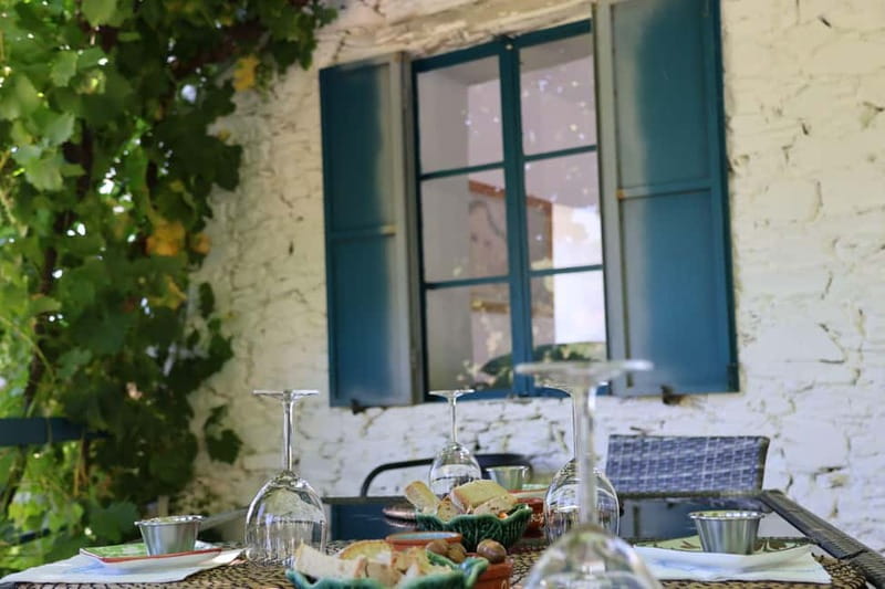 Porto: Douro Valley Wine Tour with Tastings, Lunch & Cruise - The second family estate and the wine-paired lunch
