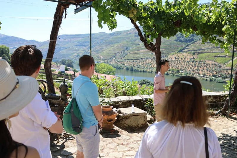 Porto: Douro Valley Wine Tour with Tastings, Lunch & Cruise - What the $113 price really buys