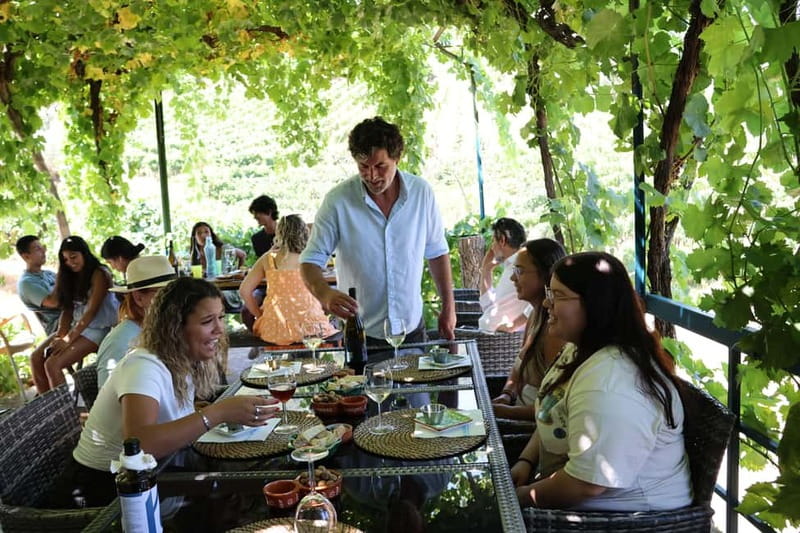 Porto: Douro Valley Wine Tour with Tastings, Lunch & Cruise - Who will enjoy this day most
