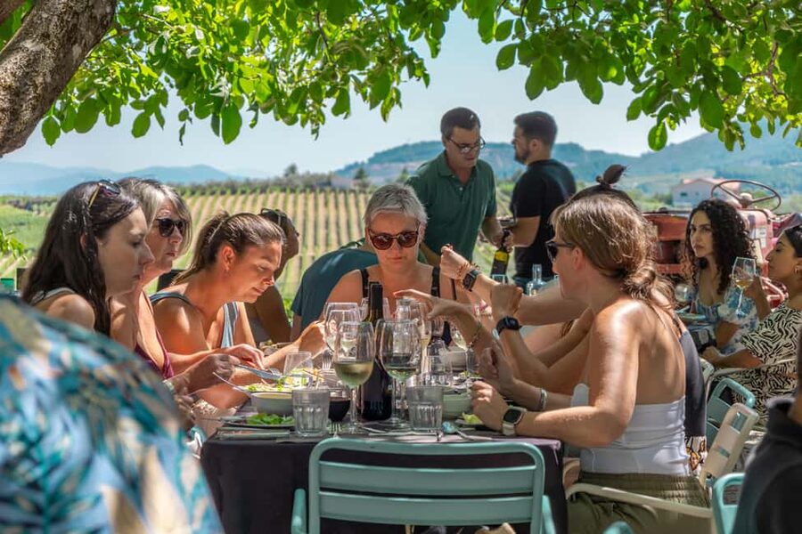 Porto: Douro Valley with Winery Lunch, Tastings & Cruise - A family-owned estate and a proper Portuguese lunch