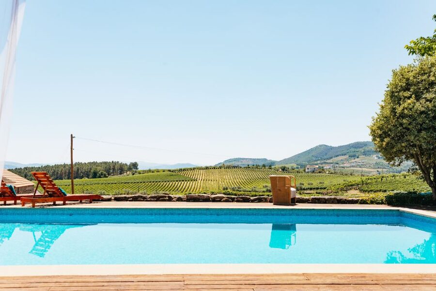 Porto: Douro Valley with Winery Lunch, Tastings & Cruise - Pinhão and the Douro River from the water