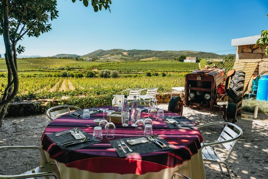 Porto: Douro Valley with Winery Lunch, Tastings & Cruise - The N222 drive back to Porto