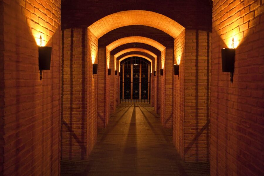 Porto: Graham's Port Lodge Tour with Premium Wine Tastings - What you learn in the cellar