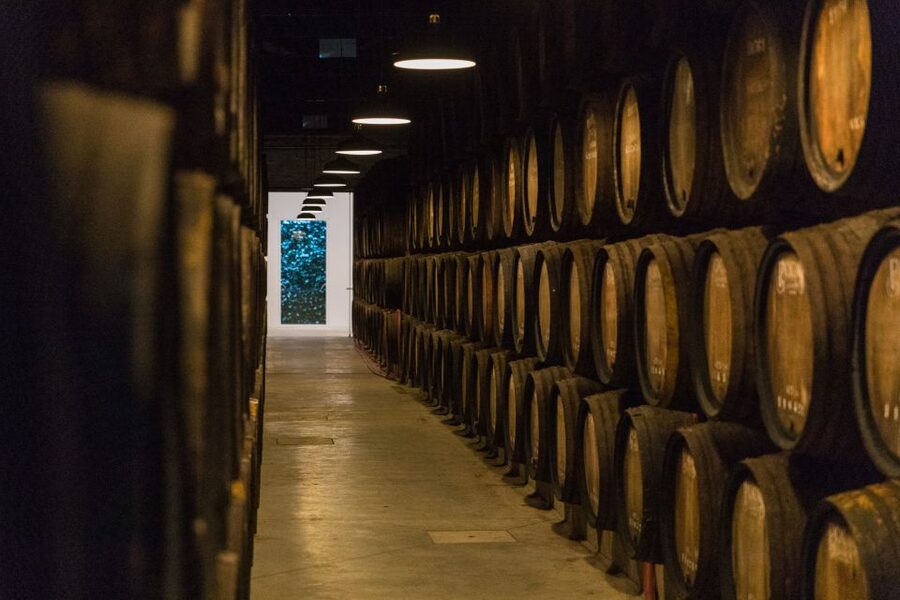 Porto: Guided Tour and Tasting of 3 Port Wines at Poças - Key points to know before you book