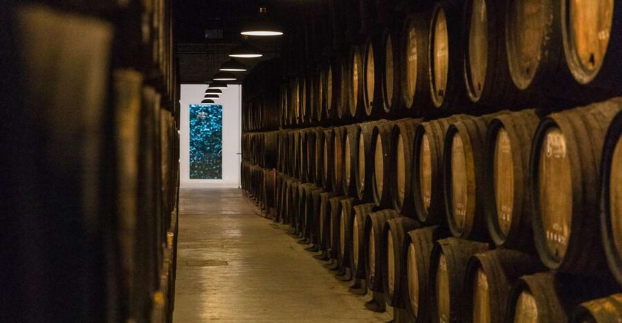 Porto: Guided Tour and Tasting of 3 Port Wines at Poças - Inside the ageing cellar