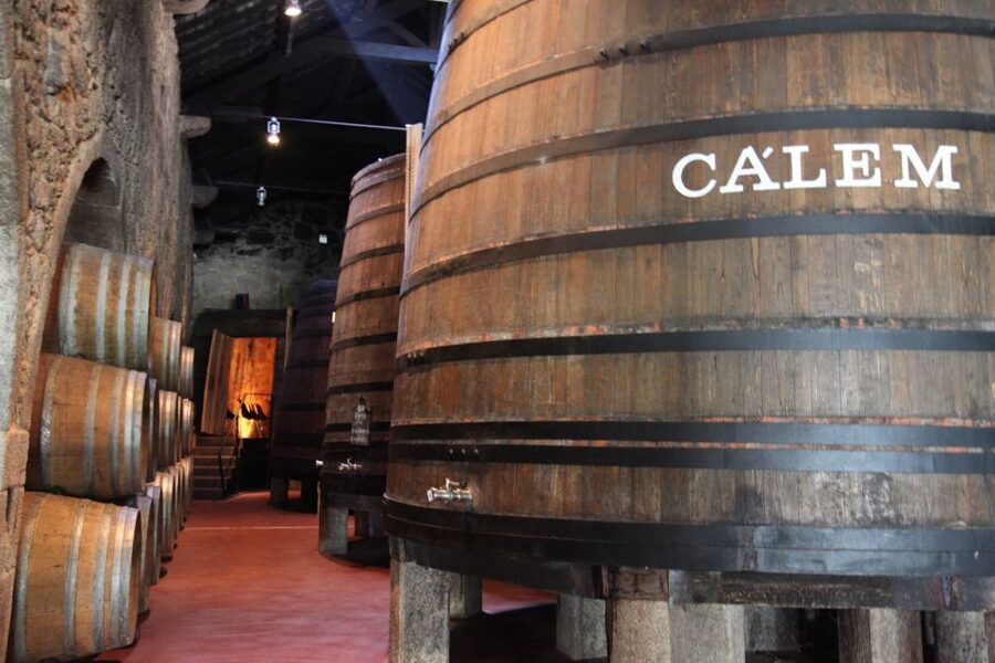 Porto: Hop-on Hop-off Bus with Optional Cruise & Wine Cellar - Key points to know before booking