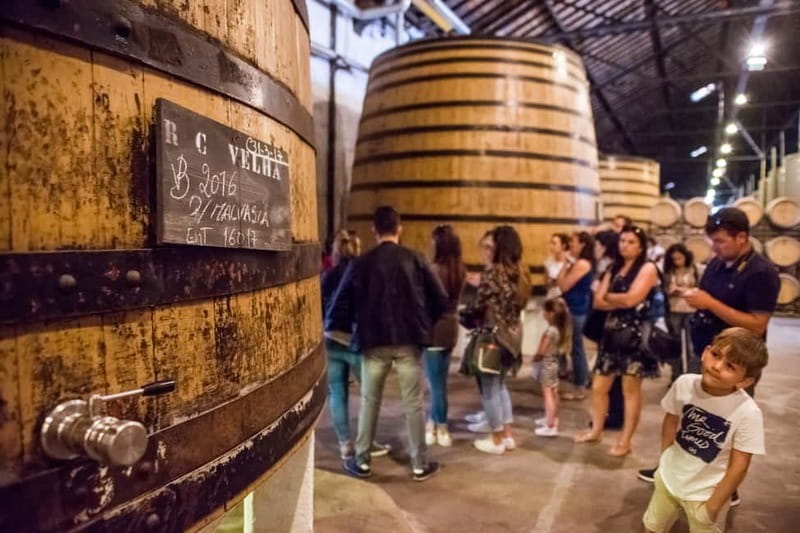 Porto: Magic Train Tour and Port Wine Cellar with Tastings - Starting at Sé Cathedral in Porto’s oldest quarter