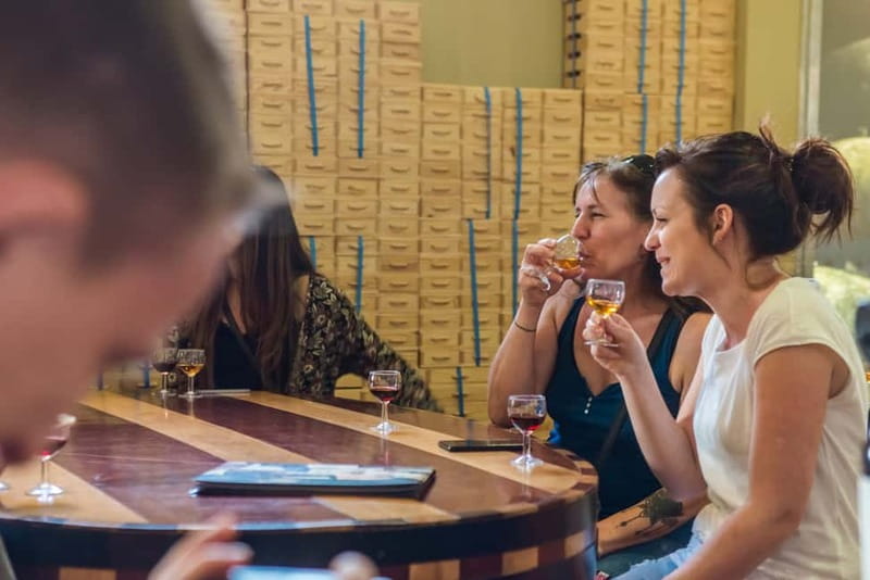 Porto: Magic Train Tour and Port Wine Cellar with Tastings - What you see on the first train ride