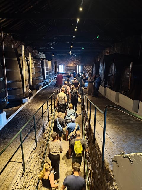 Porto: Port and Douro Wine Walking Tour with 9 Tastings - Key points at a glance