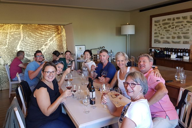 Porto: Port and Douro Wine Walking Tour With 9 Wine Tastings - Solar dos Dragos and Douro wines
