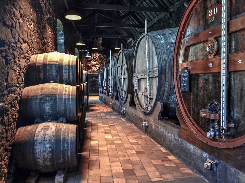 Porto: Self-Guided Bike and Boat Tour with Port Wine Tasting - Useful planning advice before you go