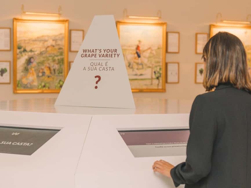 Porto: The Wine Experience, Best Wine Museum in the World - Who should book this experience?