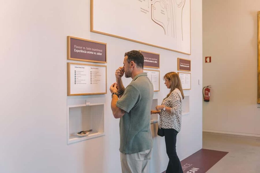 Porto: The Wine Experience, Best Wine Museum in the World - Entering WOW and finding the Wine Experience