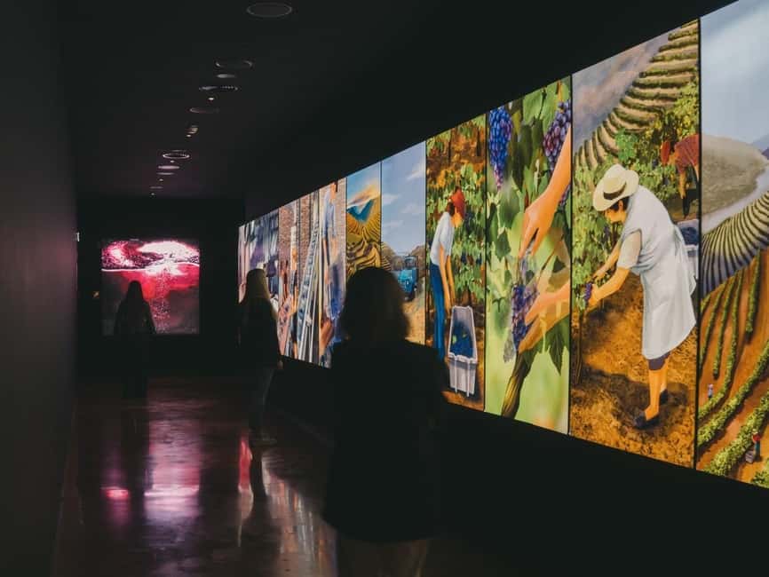 Porto: The Wine Experience, Best Wine Museum in the World - Interactive displays that work for different ages