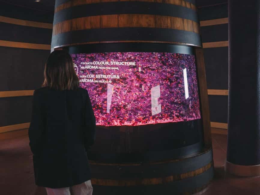 Porto: The Wine Experience, Best Wine Museum in the World - Is $29 a fair price?