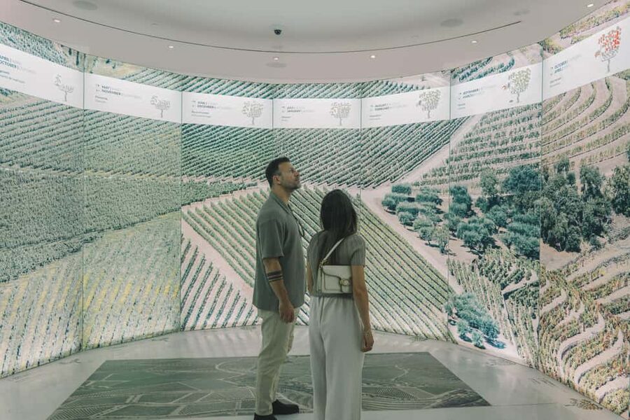 Porto: The Wine Experience, Best Wine Museum in the World - How long should you plan?