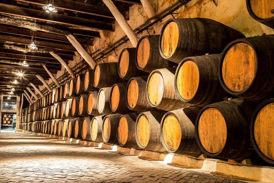 Porto: Tuk-Tuk Tour, Douro River Cruise, and Wine Tasting - A Porto winery visit with two Port wines