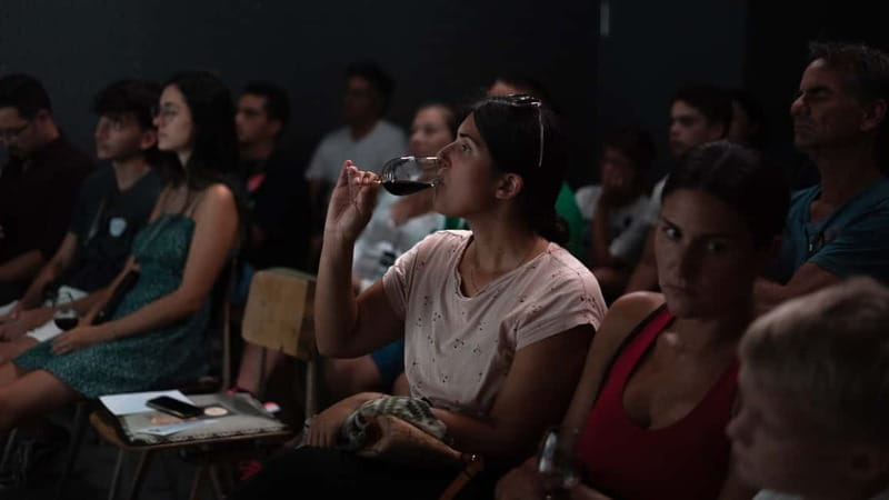 Porto: What is Fado? Commented Live Concert with Port Wine - Coimbra Fado and the student tradition