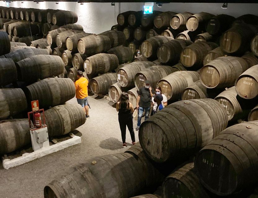 Porto: Wine Tasting with Tapas Walking Tour - Who will enjoy this Porto wine walk