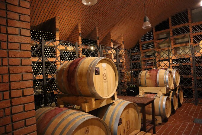 Prague´s Hidden Vineyards Private Tour - Who should book this tour