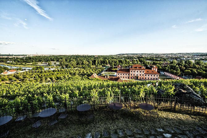 Prague´s Hidden Vineyards Private Tour - Troja brings the wine lesson into focus
