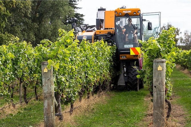 Premium 4 -Best Wineries Napier Hawke's Bay Tour, 5.5h - 6Hours - Key points to know before booking