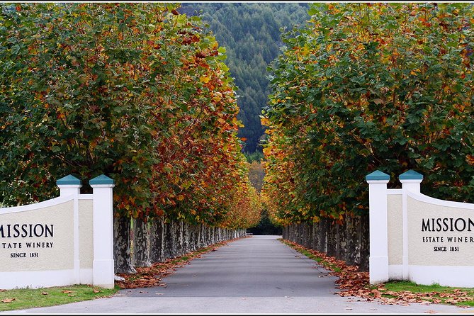 Premium 4 -Best Wineries Napier Hawke's Bay Tour, 5.5h - 6Hours - Lunch is useful, but keep your expectations realistic