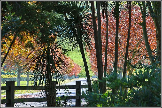 Premium 4 -Best Wineries Napier Hawke's Bay Tour, 5.5h - 6Hours - A small group helps the afternoon feel social