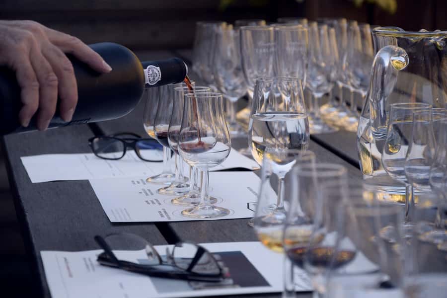 Premium Argentinian Wines and Malbec Tasting Experience - What the 90 minutes feel like