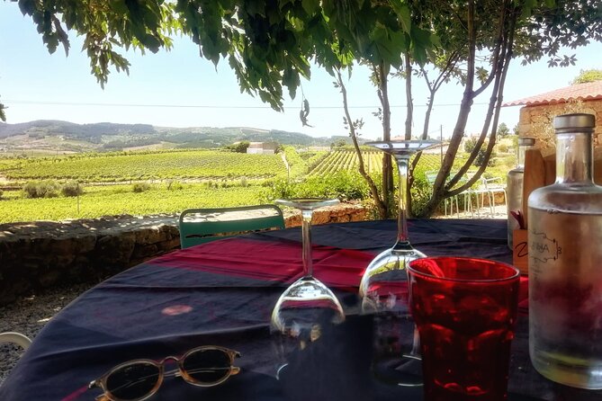 Premium Douro Valley Small-Group Tour, Wine Tasting, Lunch & Boat - The drive from Porto into the Douro Valley