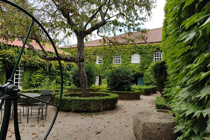 Premium Douro Valley Small-Group Tour, Wine Tasting, Lunch & Boat - Vilarinho de São Romão and the local-producer visit