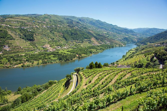 Premium Douro Valley Small-Group Tour, Wine Tasting, Lunch & Boat - How much value do you get for $181.39?