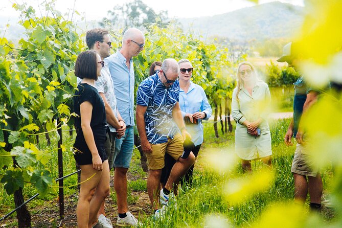 Premium Hunter Valley Wine Tour with Lunch from Sydney - Guides can make or break the experience