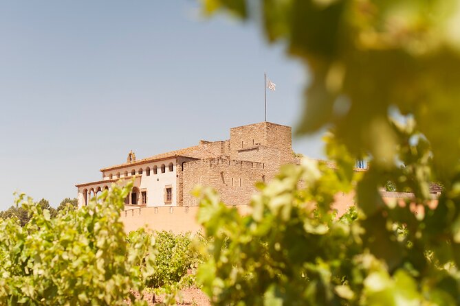 Premium Montserrat & Wine Full Day Tour from Barcelona - Why this Barcelona day trip works