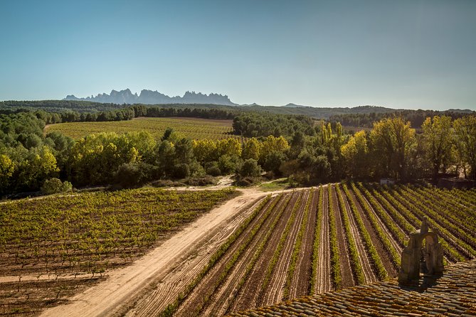 Premium Montserrat & Wine Full Day Tour from Barcelona - Lunch and wine at a Catalan estate