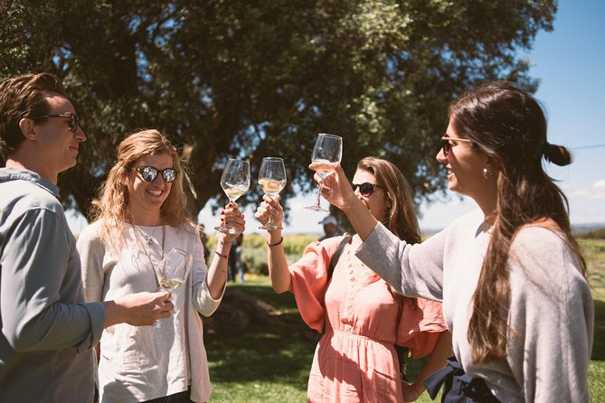 Premium Vineyard Tour & Tasting - At a glance