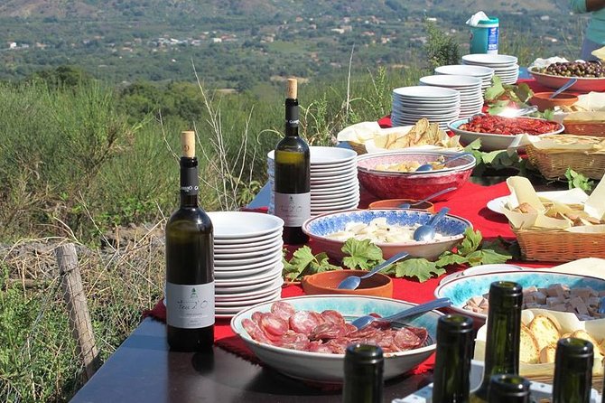 Private 6-Hour Tour of Three Etna Wineries with food&wine tasting - The third winery: local bottles, mountain views, and a slower finish