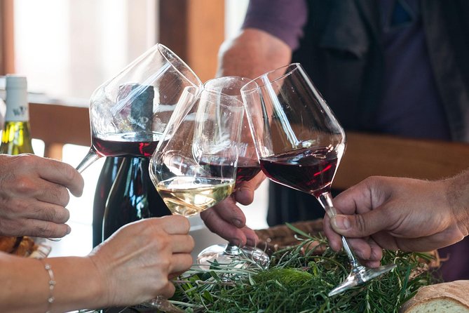 Private 6-Hour Tour of Three Etna Wineries with food&wine tasting - The food is almost as important as the wine