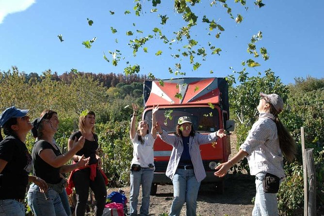 Private 6-Hour Tour of Three Etna Wineries with food&wine tasting - Private transport makes the rural route practical