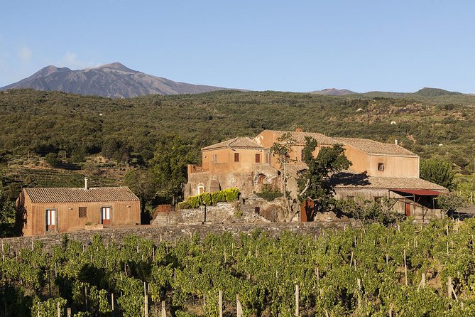 Private 6-Hour Tour of Three Etna Wineries with food&wine tasting - How the six-hour schedule feels