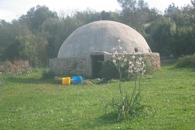 Private Bodrum Village Tour + 1 Glass Free Local Wine - The long village lunch